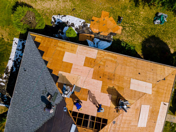 Quick and Trustworthy Emergency Roof Repair Services in Palm Valley, TX
